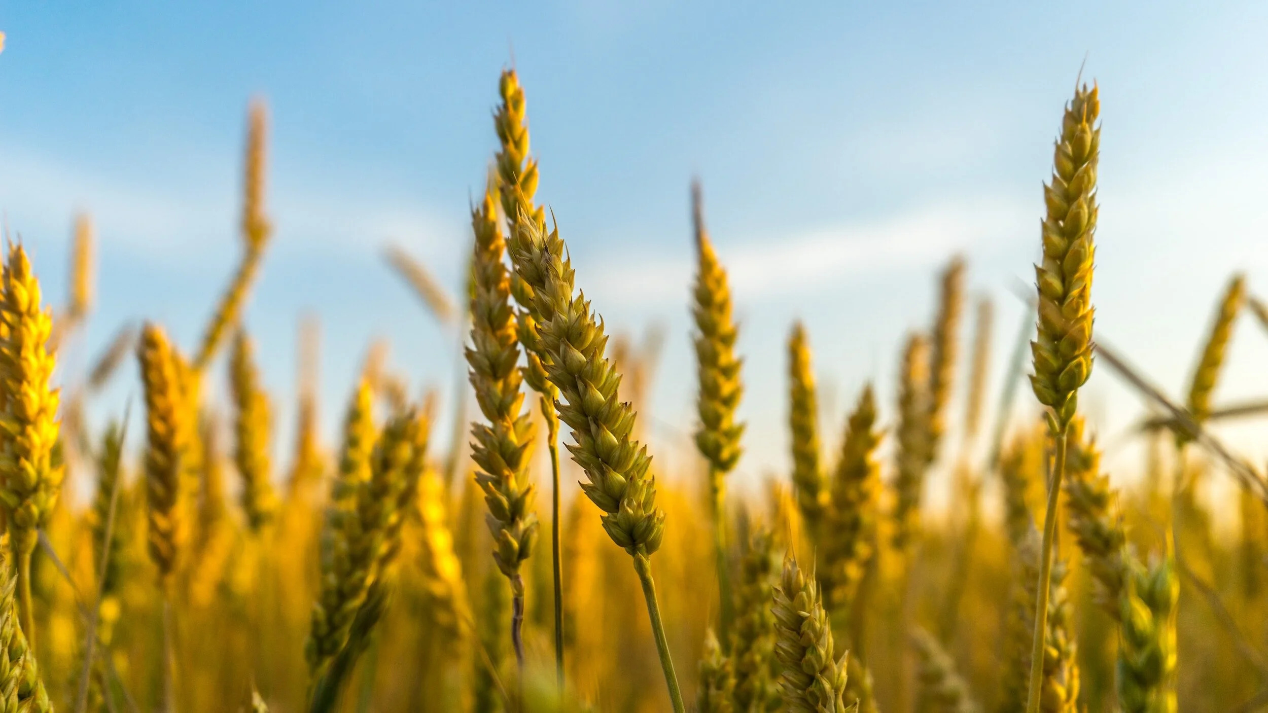 Agriculture