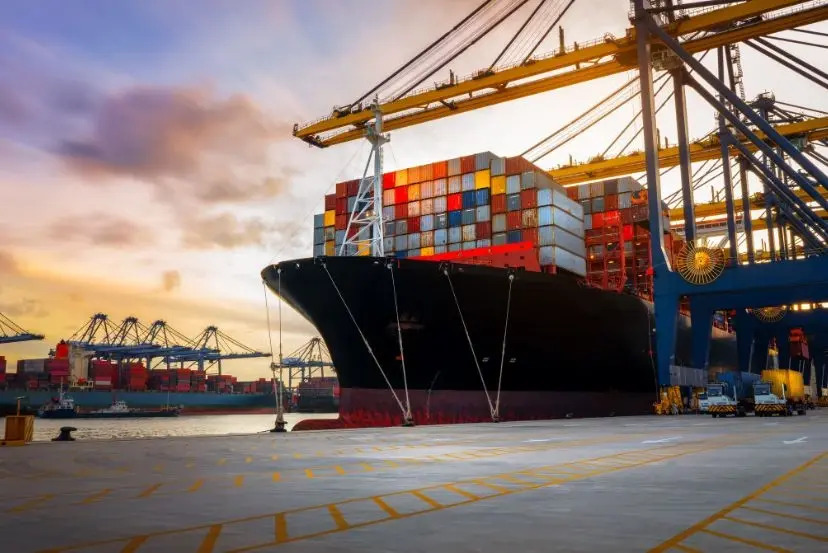 Export and Logistics